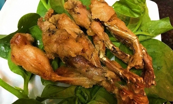 Món ngon mỗi ngày: Cách làm món ếch chiên bơ cực ngon