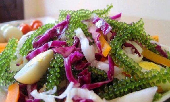 Món ngon mỗi ngày: Cách làm món salad bắp cải tím rong nho