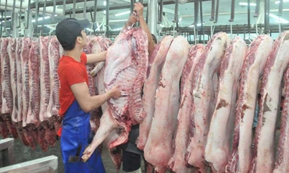 Thịt heo mảnh về chợ đầu mối giảm, sức tiêu thụ tốt dần lên