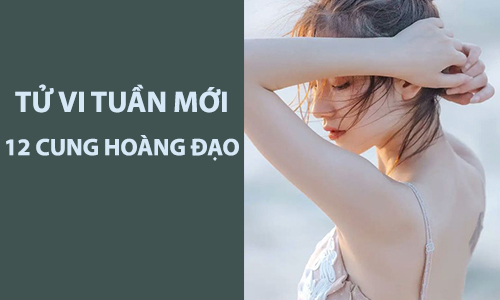 Tử vi tuần mới (10-16/6/2019) của 12 cung hoàng đạo: Sư Tử cô đơn, Bảo Bình may mắn