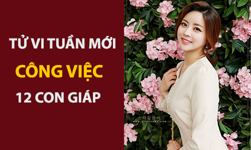 Tử vi tuần mới (3-9/6/2019) về công việc của 12 con giáp: Mão xốc lại tinh thần, Ngọ bao dung