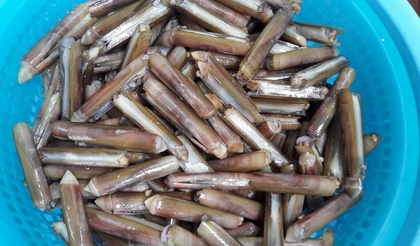 Giá thực phẩm ngày 20/7: Ốc móng tay 120.000 đồng/kg