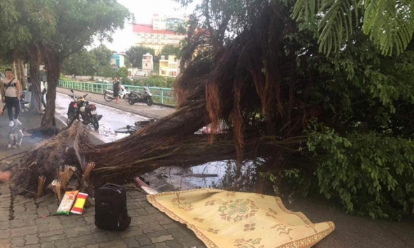 Mưa giông làm đổ hàng loạt cây trên phố Hà Nội, 1 nam thanh niên tử vong