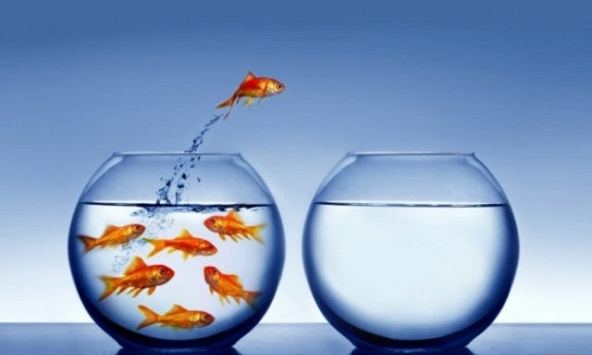 Cách để làm cho cuộc sống thành công và nhiều sắc màu hơn