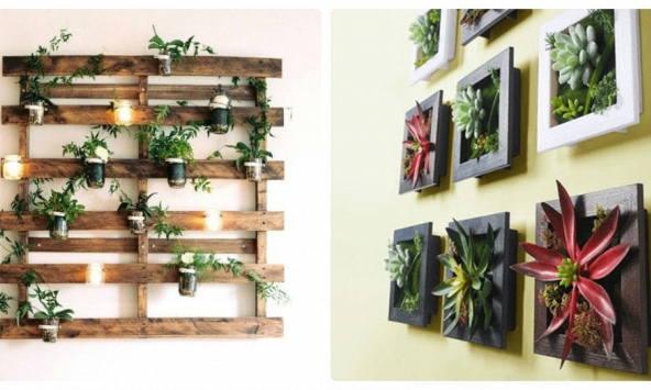 9 ý tưởng cây cảnh treo tường tạo sự mới, lạ cho ngôi nhà