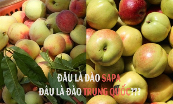 Cách phân biệt trái cây Trung Quốc đang bán khắp vỉa hè, sạp chợ