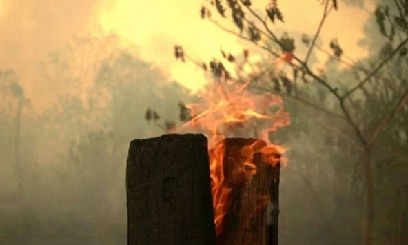 Brazil điều động quân đội, máy bay quân sự để chiến đấu với đám cháy rừng Amazon