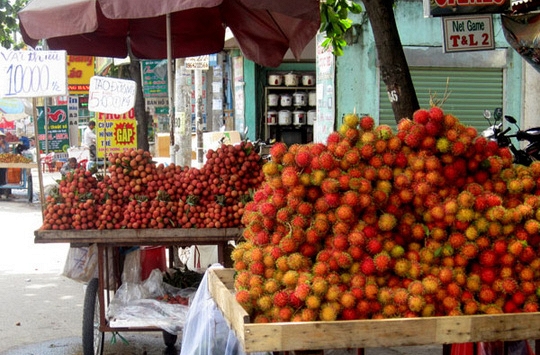 Chôm chôm mất giá