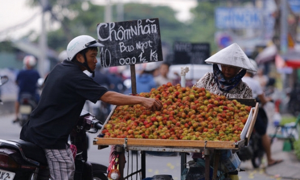 Giá chôm chôm giảm hơn một nửa so với đầu mùa