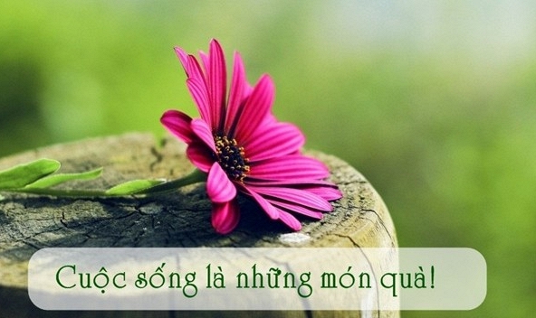 Lời dạy của cổ nhân khiến người trẻ phải suy ngẫm