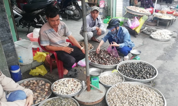 Giá hải sản tiếp tục giảm sau dịp lễ 2/9