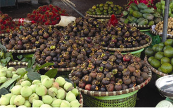 Giá măng cụt bất ngờ giảm mạnh vào cuối mùa