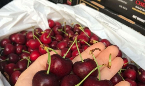 Giá thực phẩm ngày 15/7: Cherry Mỹ vào mùa, giá giảm
