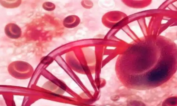 Nguy cơ mắc bệnh ung thư máu tăng lên nếu thành viên trong gia đình mắc bệnh này