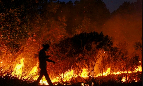 Những vụ cháy rừng lớn trên thế giới trong thời gian qua