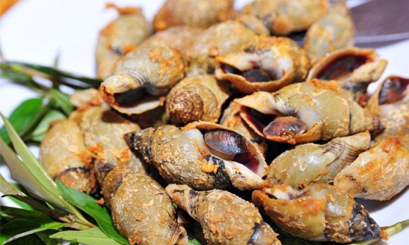 Món ngon mỗi ngày: Cách làm món ốc cà na rang muối ớt thơm ngon