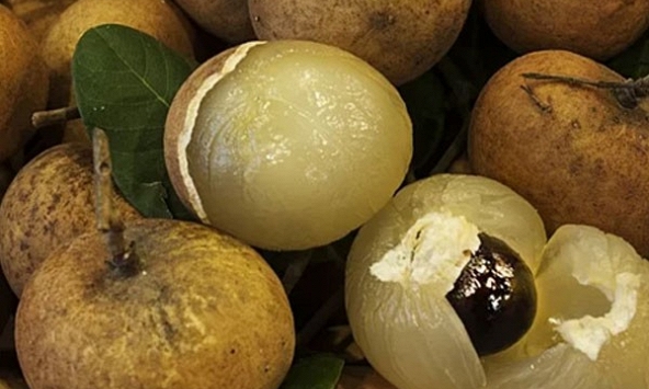 Đua nhau mua nhãn có cùi xếp lớp giá 240.000 đồng/kg