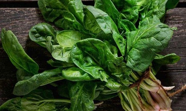 12 tác dụng của rau bina đối với sức khỏe