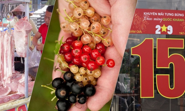 Thị trường thịt heo trong tuần: Các cửa hàng đua nhau khuyến mãi 2/9