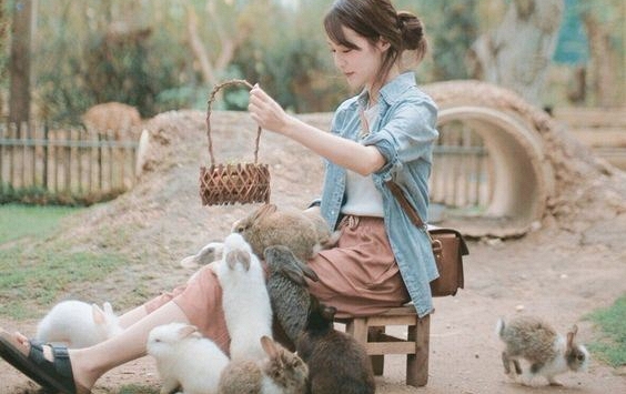 Tử vi 12 con giáp 8/8/2019: Mùi áp lực tiền bạc, Tý thuận lợi