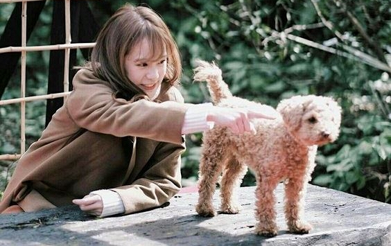 Tử vi 12 cung hoàng đạo 8/8/2019: Cự Giải chăm chỉ, Ma Kết nóng giận