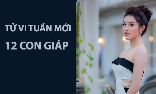 Tử vi tuần mới (26/8-1/9/2019) 12 con giáp: Sửu bị thu hút bởi sự mới lạ, Mẹo may mắn bất ngờ