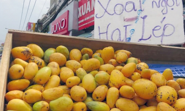 Rau quả Trung Quốc đổ về chợ đầu mối hơn 114.000 tấn