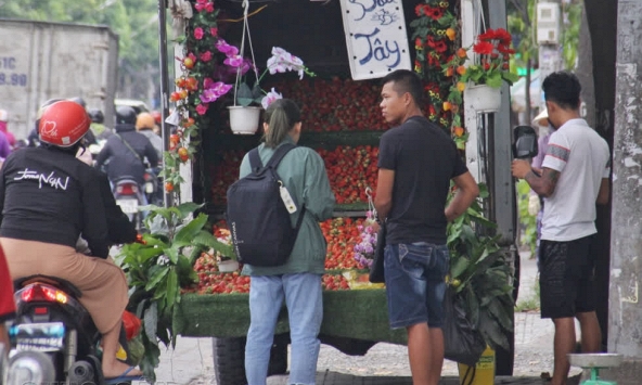 Dâu tây Mộc Châu giá 'chát', 350.000 đồng/kg tại vỉa hè Sài Gòn

