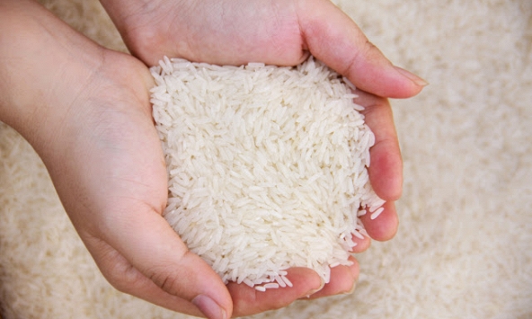 Úc thay đổi quy trình kiểm tra đối với gạo