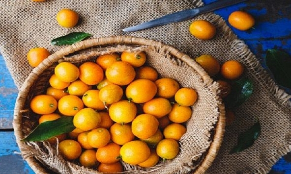 Quả kim quất: Giấc mơ giảm cân an toàn của chị em

