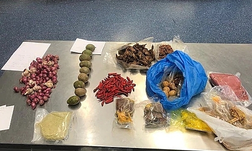 Một du khách Việt bị Úc cấm nhập cảnh 3 năm vì mang thịt heo vào nước này