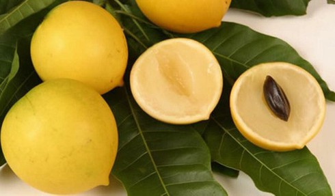 'Vũ sữa hoàng kim' giá đắt đỏ nhưng vẫn hút người mua