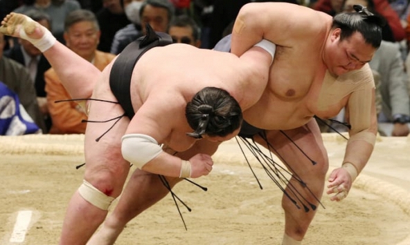 Làm thế nào để trải nghiệm một trận đấu sumo ở Nhật Bản?