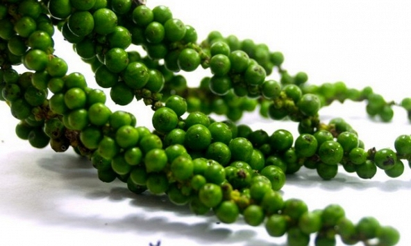 Giá tiêu cuối tuần không có nhiều biến động