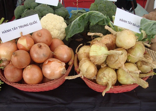 7 loại rau củ quả dễ nhầm lẫn giữa hàngTrung Quốc và Đà Lạt