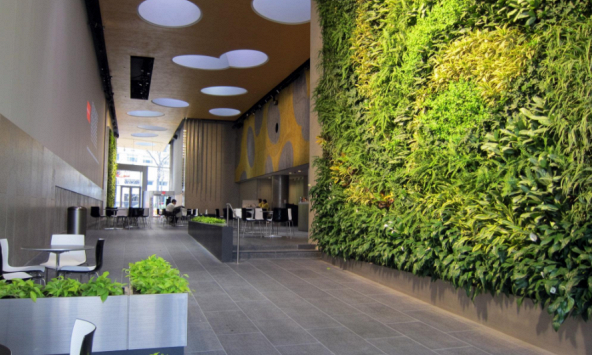 Năm 2020, bùng nổ phong cách biophilic trong thiết kế nhà ở 
