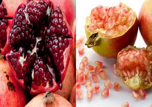 Chỉ cần nhìn điểm này là phân biệt được lựu Trung Quốc và Việt Nam