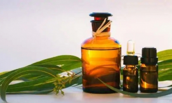 Đây là cách bạn có thể tiêu diệt vi khuẩn mà không cần đến hóa chất
