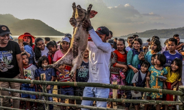 Những chú lợn ngộ nghĩnh trong lễ hội ở Indonesia