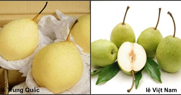 Quả lê Việt Nam khác Trung Quốc thế nào?