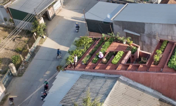 Ngôi nhà đỏ có vườn rau kiểu ruộng bậc thang trên mái ở Quảng Ngãi

