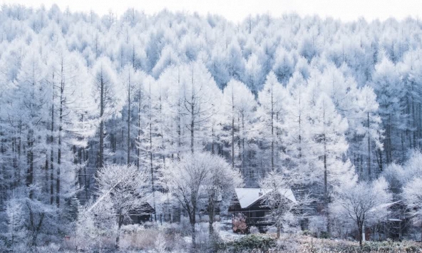 Ngắm mùa tuyết tuyệt đẹp tại Nhật Bản qua góc nhìn nhiếp ảnh gia Kotaro Kato
