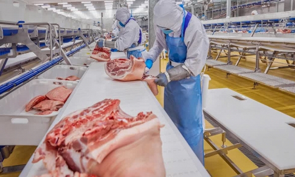 Nhu cầu thịt khoảng 250.000-350.000 tấn/tháng, Bộ Nông nghiệp cam kết giá heo không tăng đột biến trong Tết Tân Sửu