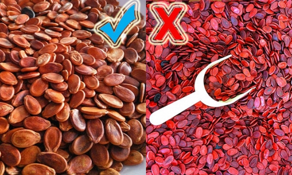 Bỏ túi cách bảo quản hạt dưa trong dịp Tết