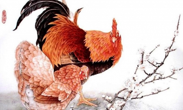 Tử vi năm 2020 tuổi Dậu: Tháng 1 may mắn tột đỉnh, tháng 5 gặp biến động không lường