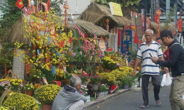 Độc đáo đường hoa Tết tại Bệnh viện Chợ Rẫy