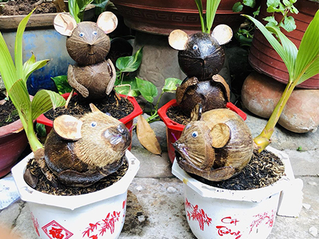 Dừa bonsai hình chuột độc đáo hút khách Sài Gòn