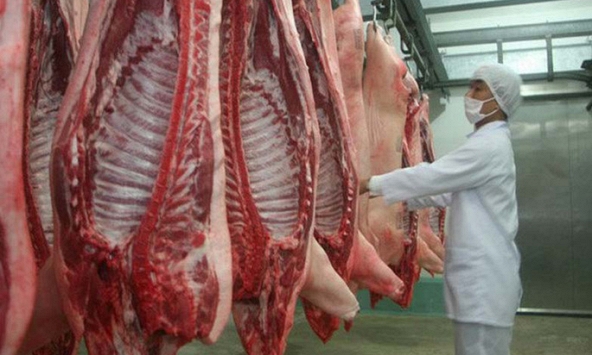 Việt Nam nhập khẩu trên nửa triệu con heo từ Thái Lan