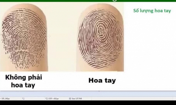 Xem vận giàu nghèo, tài năng qua các đường vân hoa tay