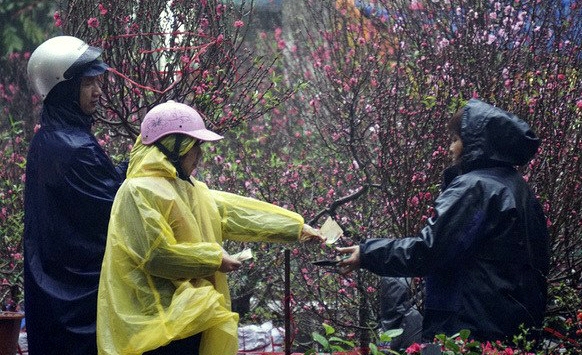 Không khí lạnh tăng cường, Bắc bộ rét đậm, rét hại